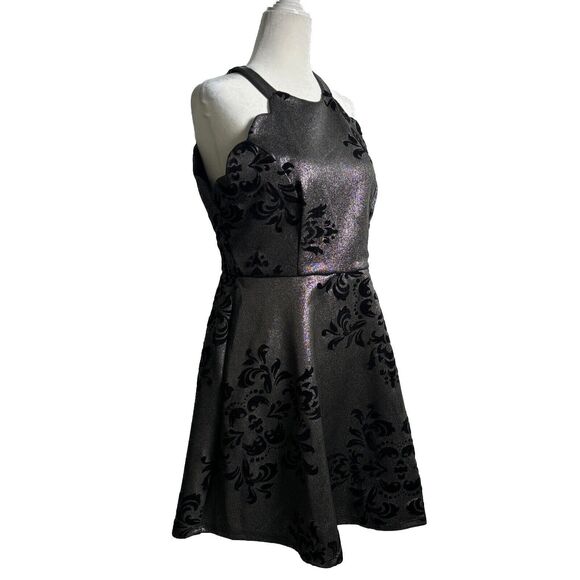 Fairygoth Silver And Black dress Velvet Design Fit and Flare Whimsigoth SZ XL - Picture 3 of 12